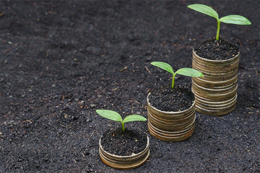 600x400tbbgrowth
