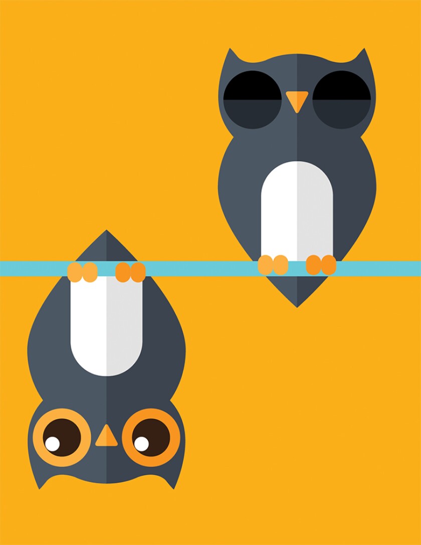 owls 780