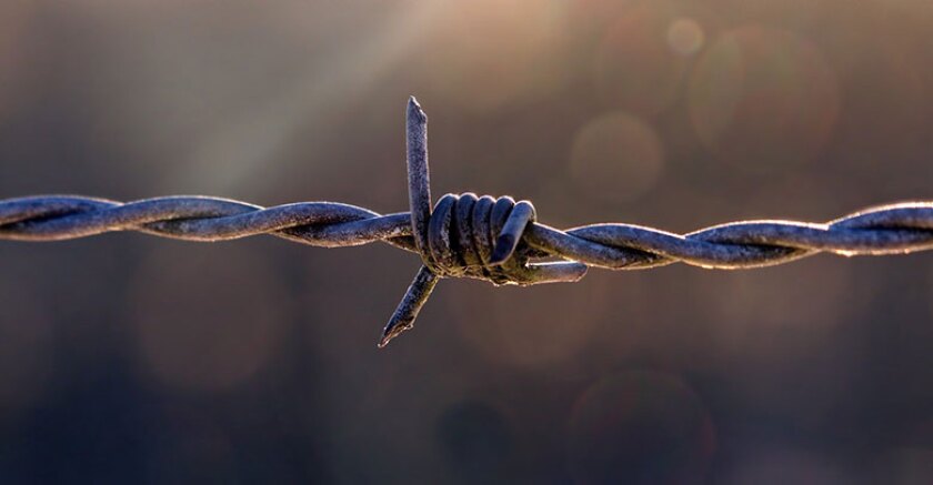 barbed-wire-fence-barrier-780.jpg