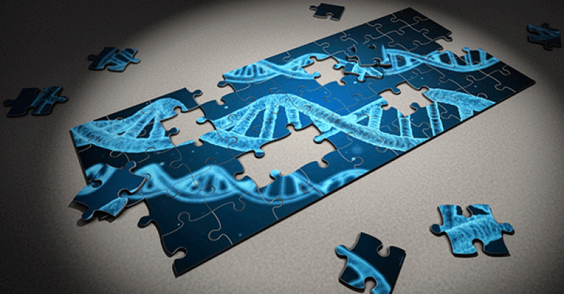 DNA-jigsaw-evolution-600