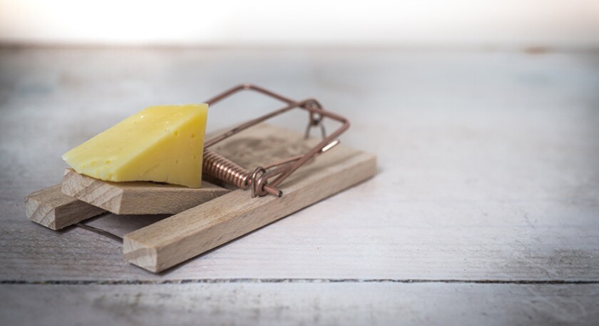 mouse-trap-cheese-780