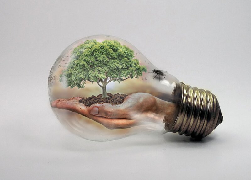 lightbulb-tree-green-environment-780.jpg