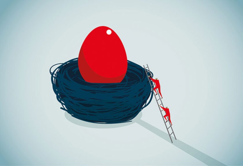 nest-egg-ladder-istock-780.jpg