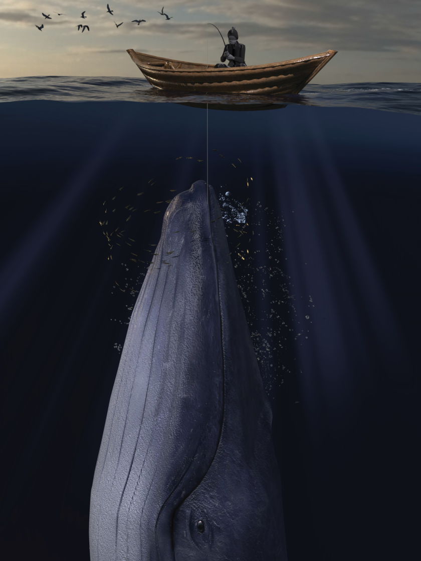 iStock whale EU recovery png 1920px.png