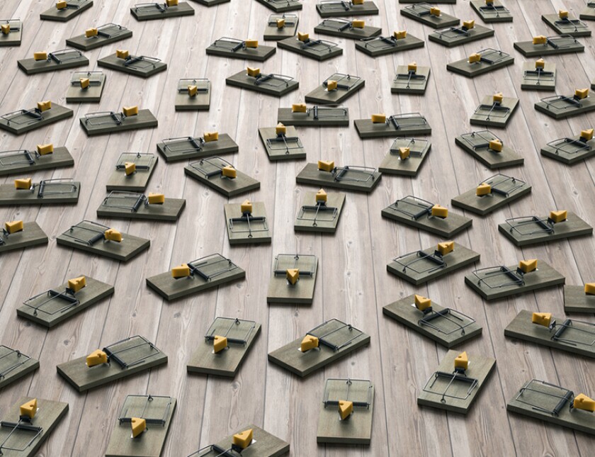 mouse-traps-cheese-minefield-istock-780.jpg