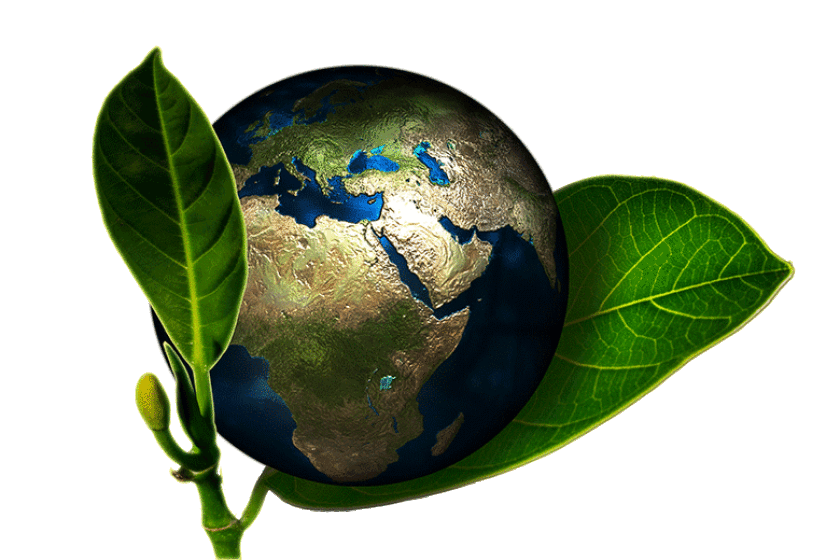 earth-green-global-FREE-780