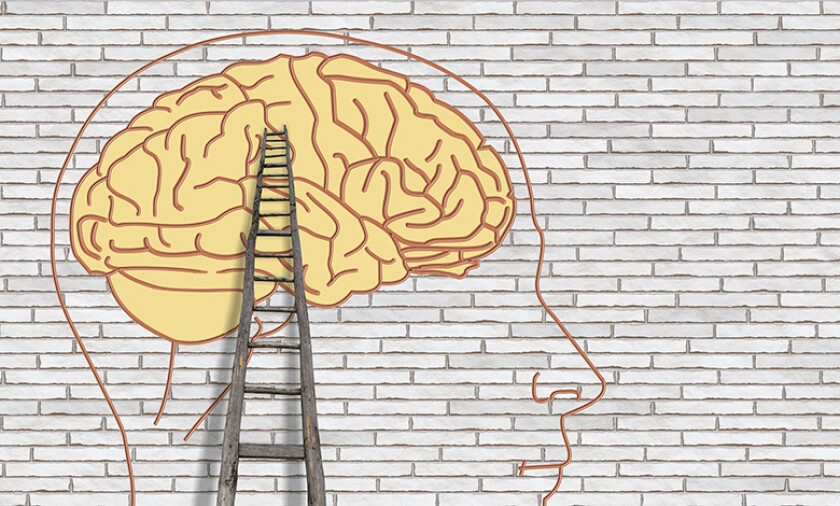 brain-think-ladder-wall-780
