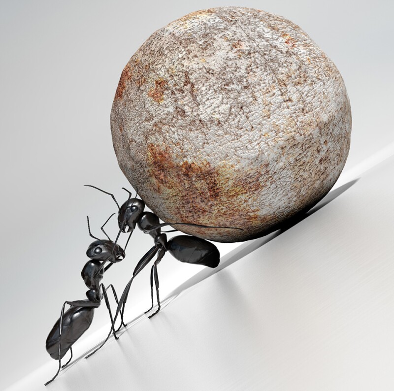 Ants-boulder-struggle-against-odds-istock-960.jpg