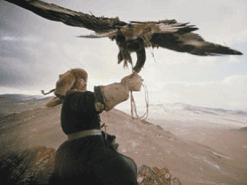 bird.gif