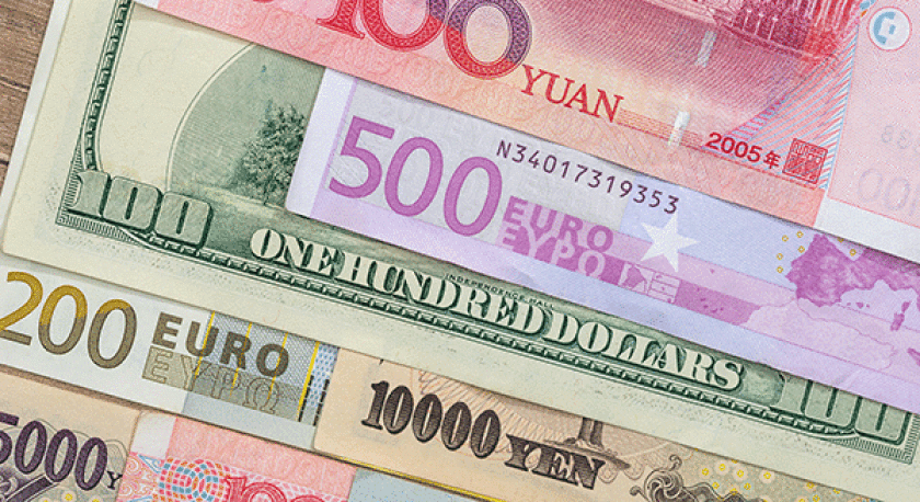 sc-Global-Local-600