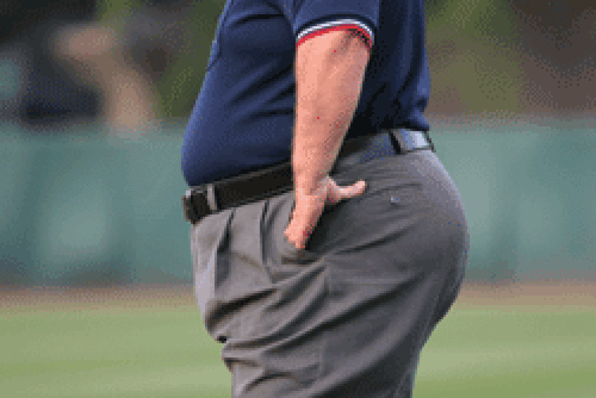 fe-girth.gif