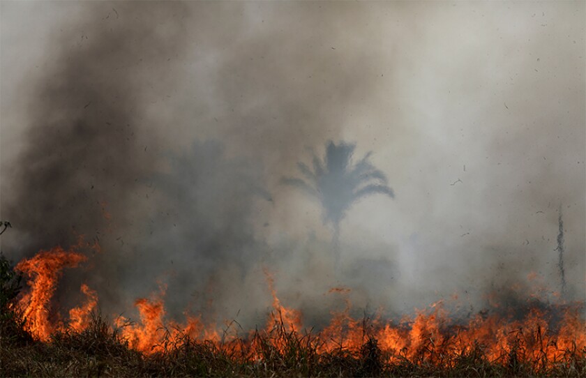 Brazil_fire_780